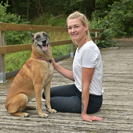 Freizeitpferde-Sportpferde-Reitpferde