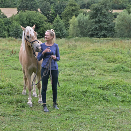 Stressreduktion für Pferde durch Osteopathie- Individuelle Pferdebehandlung- Pferdegesundheitsmanagement
