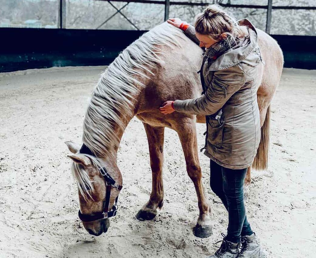 pferde-therapie-osteopathie-physio-tierkommunikation-alternativ-bartsch