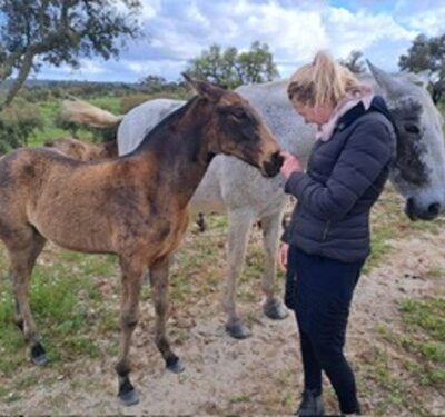 Ihre Perde-Osteopathin aus Kassel Steffi Bartsch