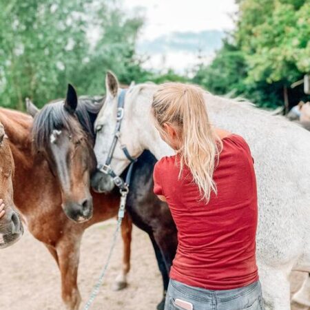 Pferdeosteopathie Kassel - Steffi Bartsch